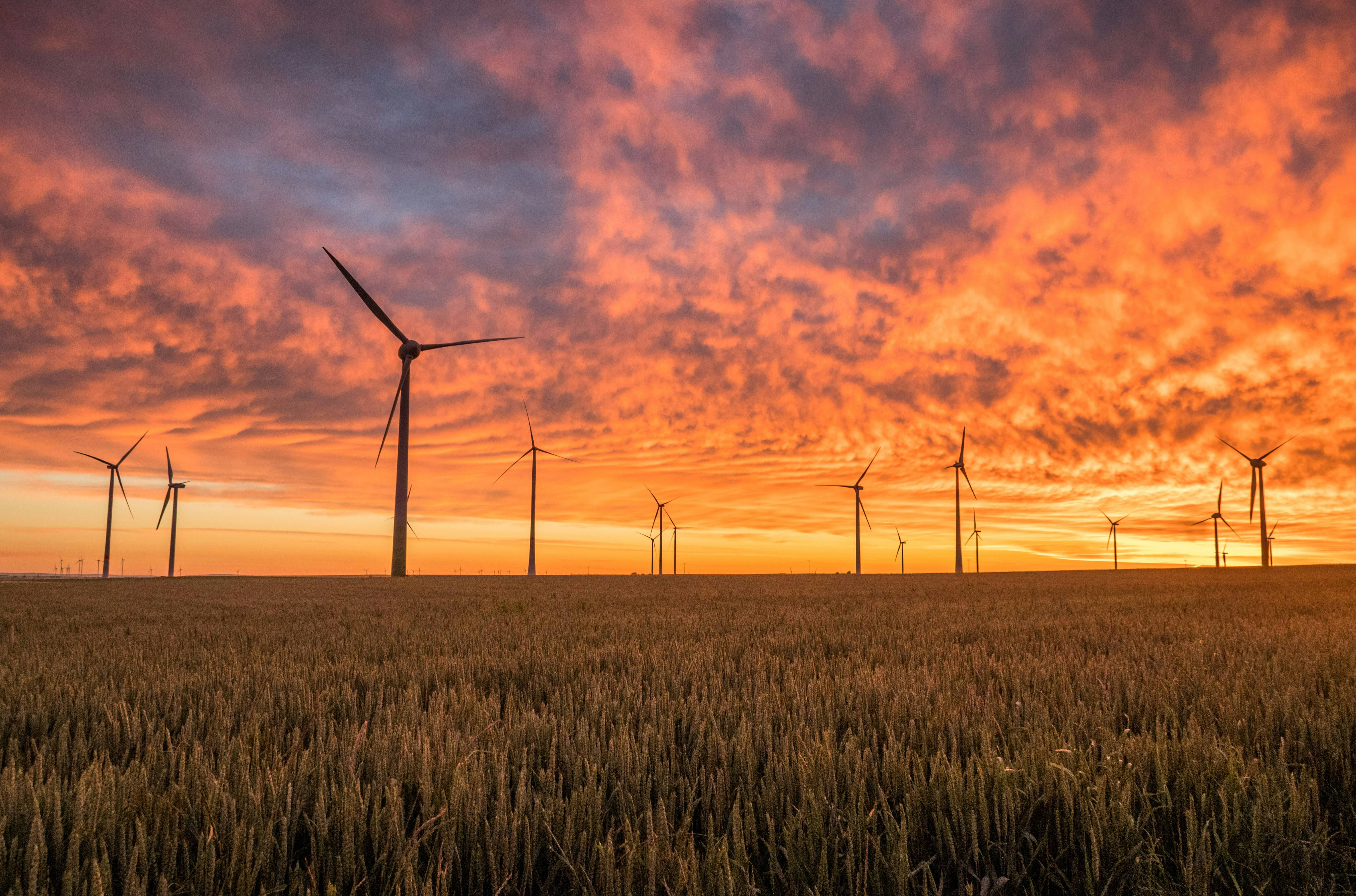 Windmill farm